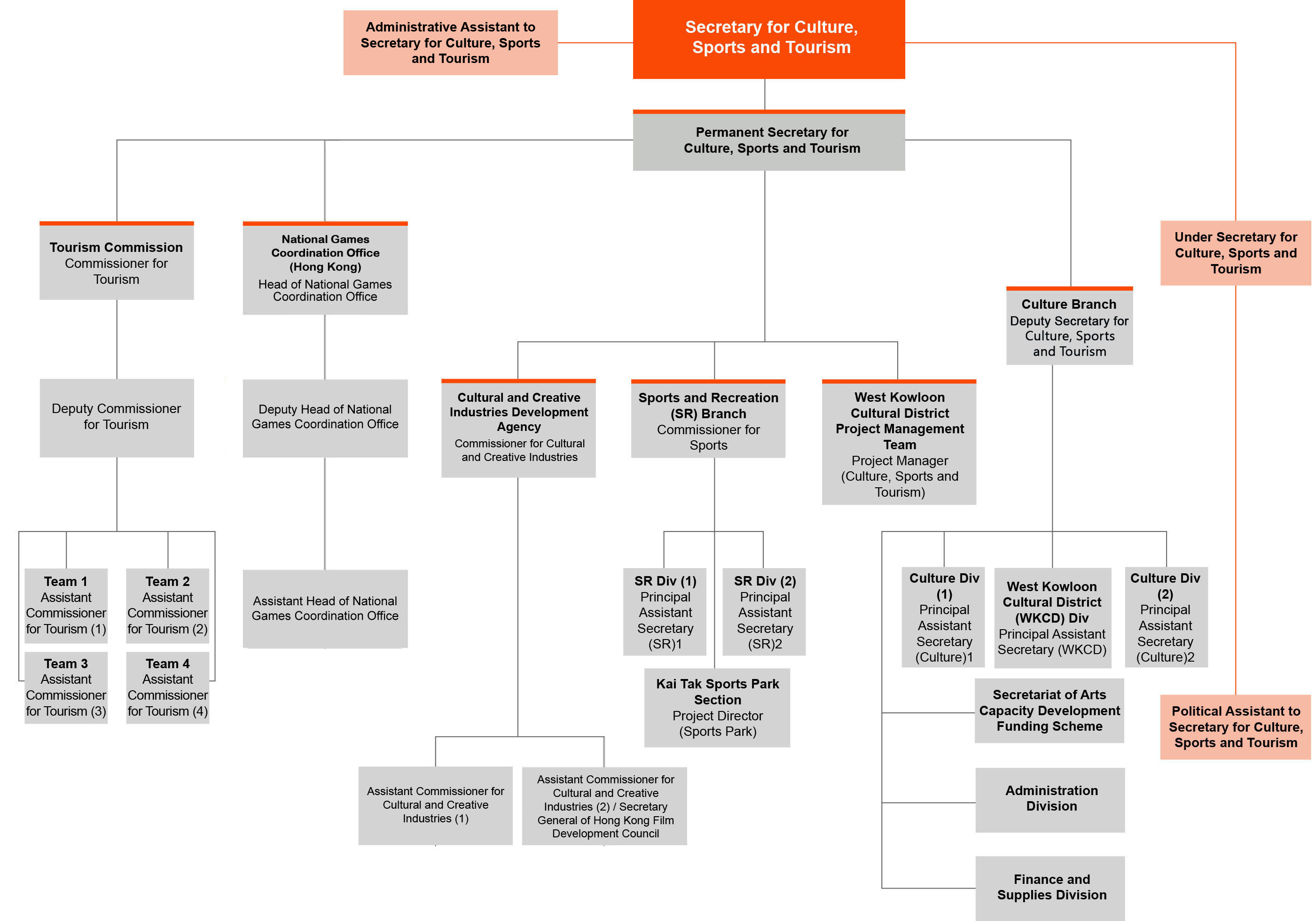 Organisation Chart